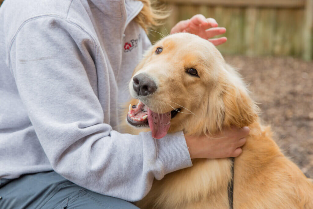 Pet Client Services - South Metro Animal Emergency Care